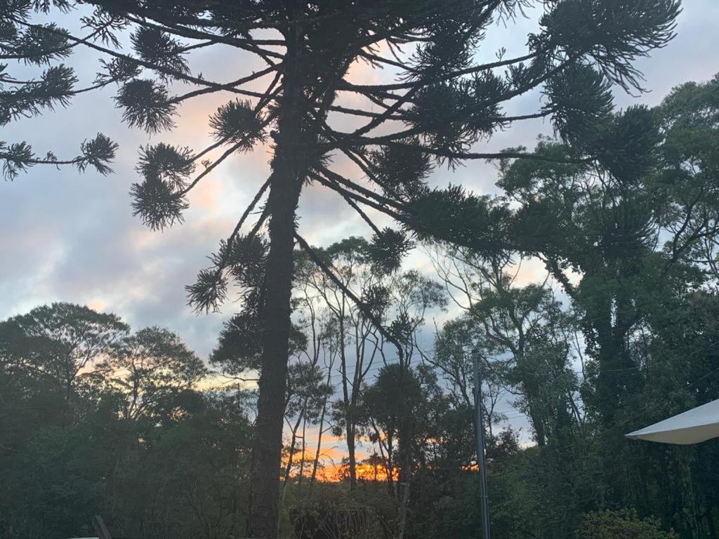 Casa De Campo Em Gramado Eksteriør bilde